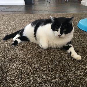 Meet your Posher, Danica